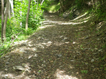 Montée L'Alpe d'Huez