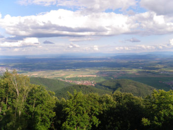 Ausblick Haut-Koenigsbourg