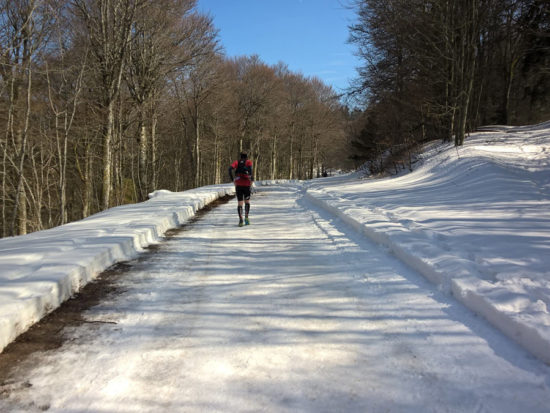 Trail du Petit Ballon 2016